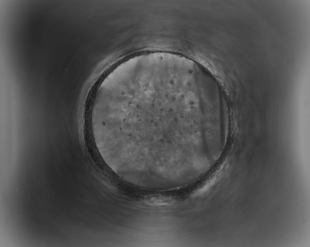 X0000094910199200712271519