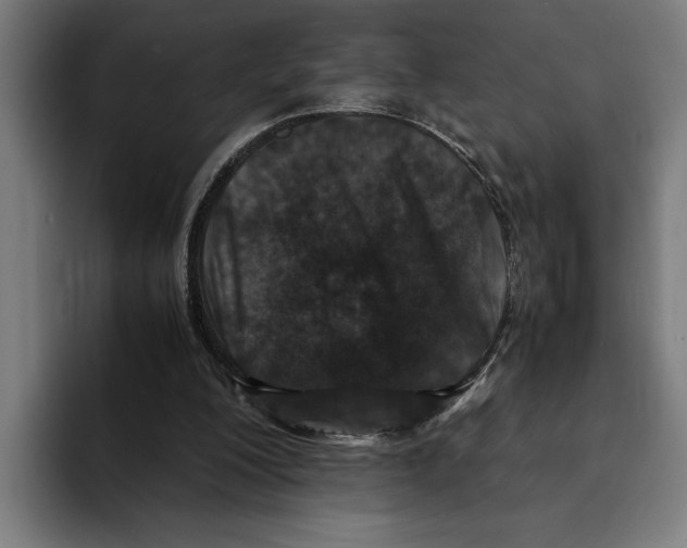 X0000094910200200712271519