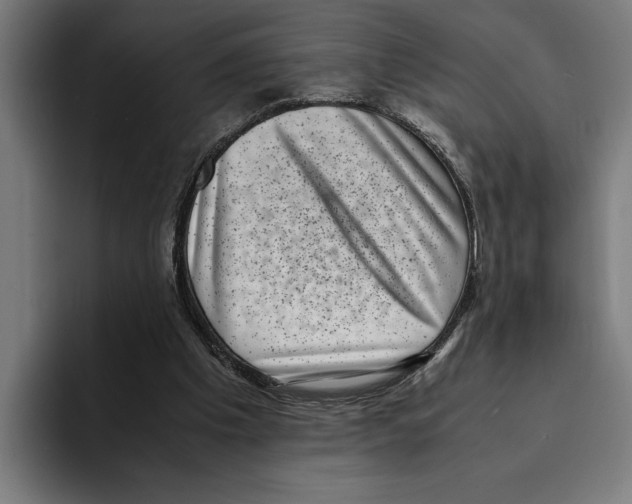 X0000094910201200712271519