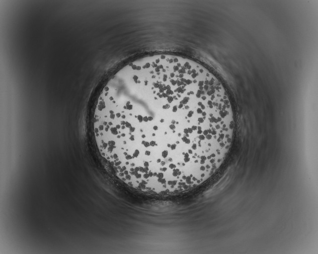 X0000094910203200712271519