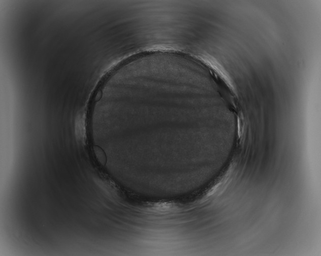 X0000094910204200712271519