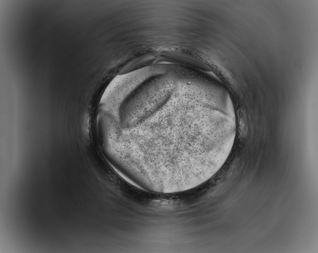 X0000094910211200712271519