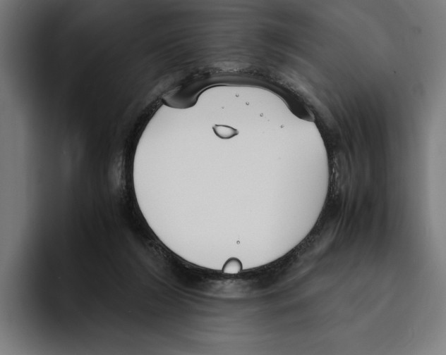 X0000094910212200712271519