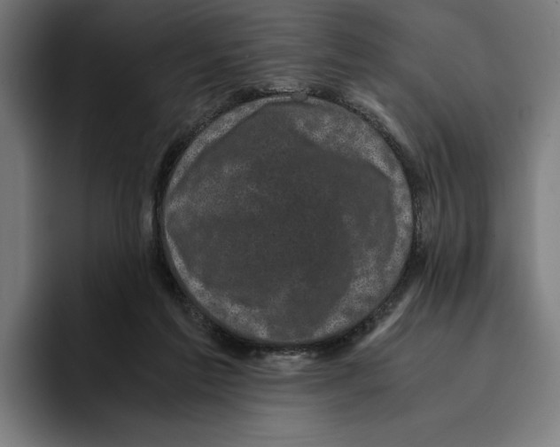 X0000094910213200712271519