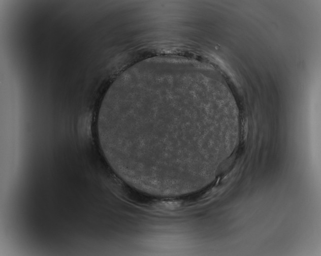 X0000094910217200712271519