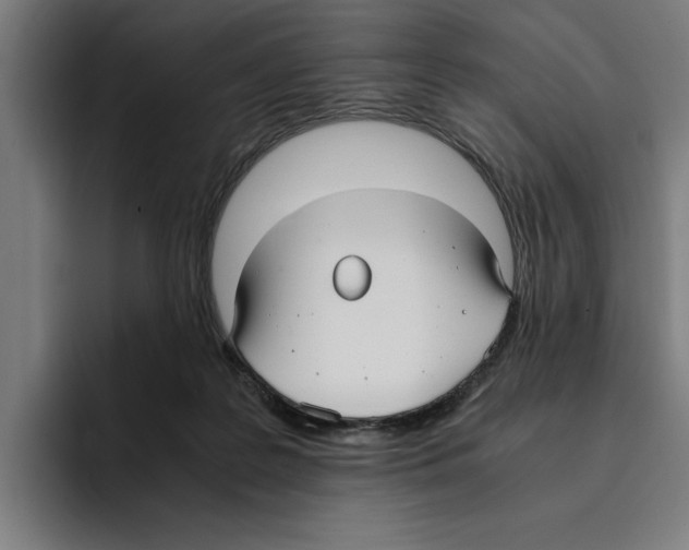 X0000094910219200712271519