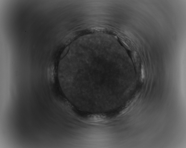 X0000094910223200712271519