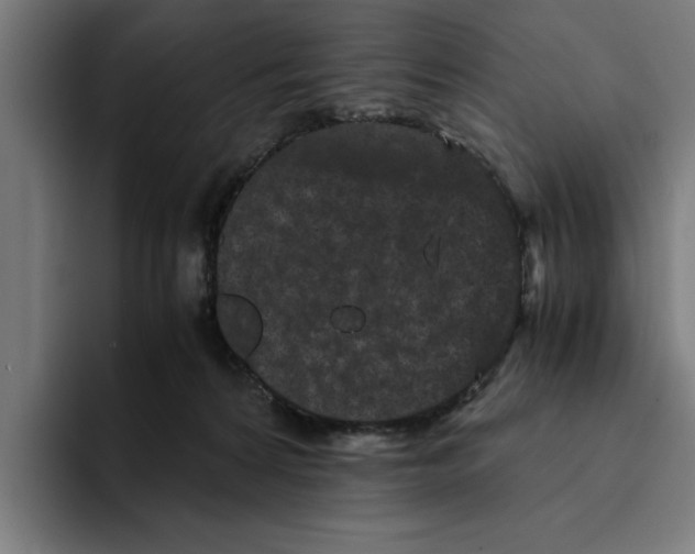 X0000094910224200712271519