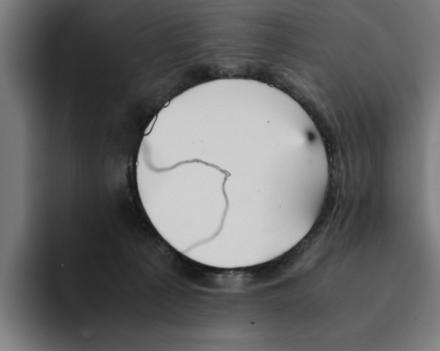 X0000094910225200712271519