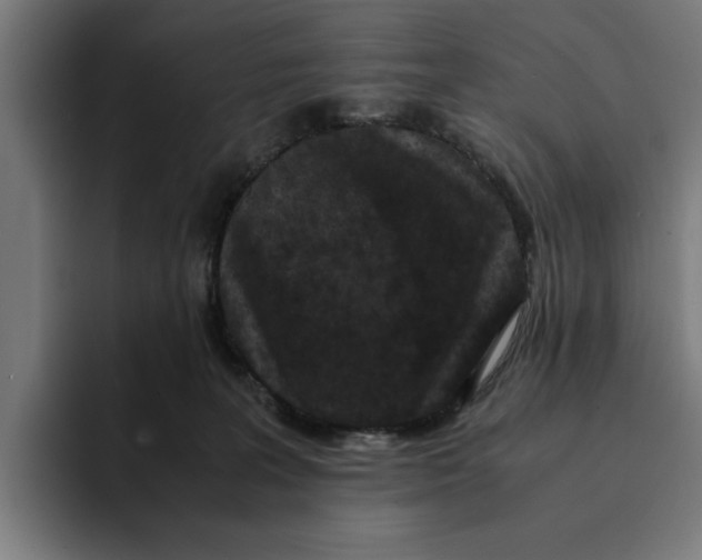 X0000094910227200712271519