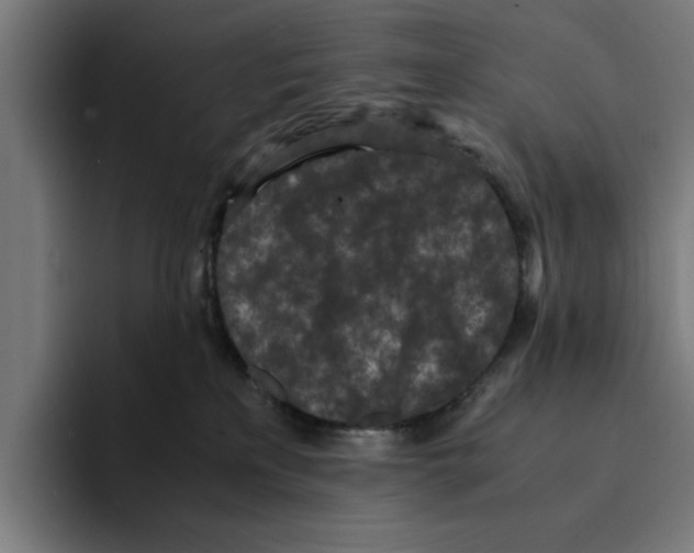 X0000094910233200712271519