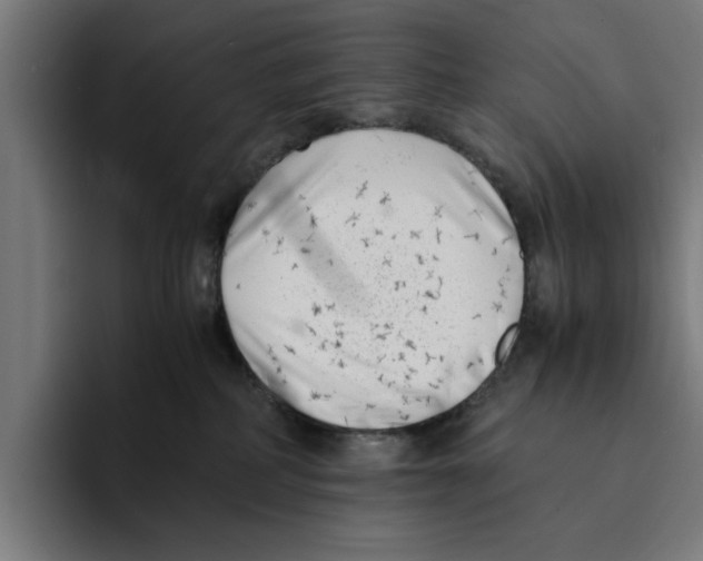 X0000094910234200712271519