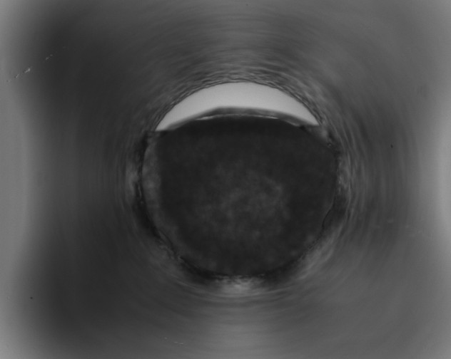 X0000094910235200712271519