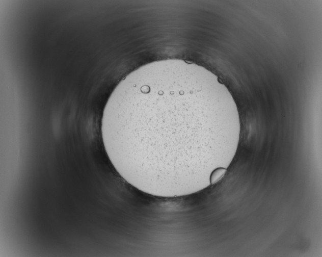 X0000094910236200712271519