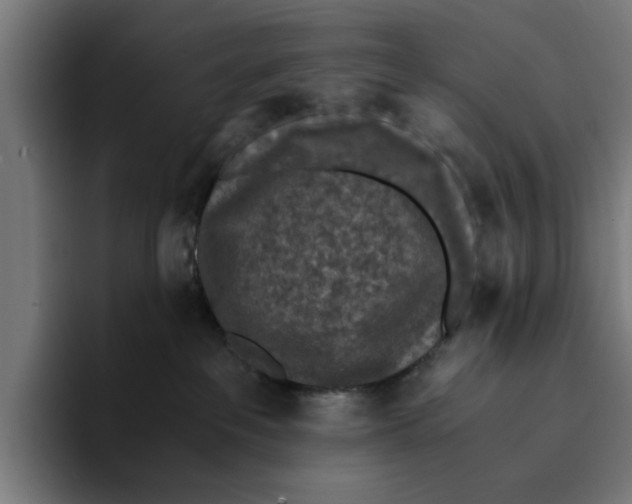 X0000094910237200712271519