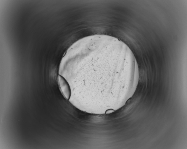 X0000094910238200712271519
