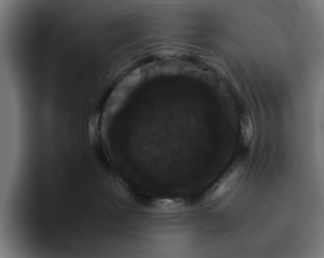 X0000094910239200712271519