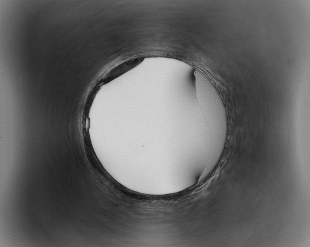 X0000094910244200712271518