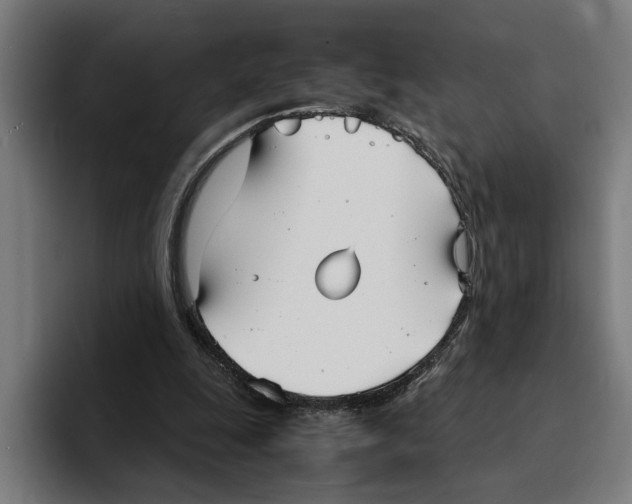 X0000094910247200712271518