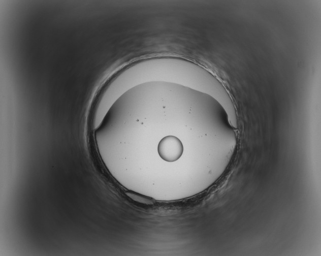 X0000094910248200712271518