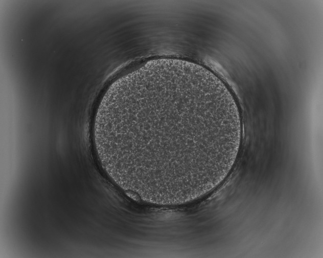 X0000094910249200712271518