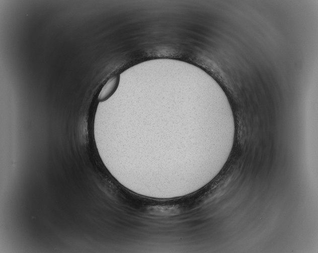 X0000094910251200712271518