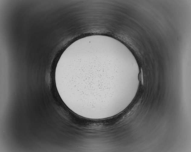 X0000094910252200712271518