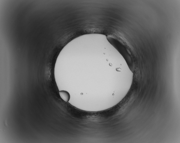 X0000094910259200712271518