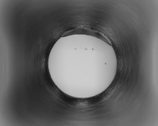 X0000094910263200712271518