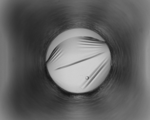 X0000094910268200712271518