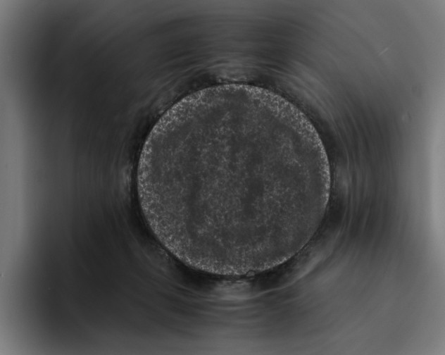 X0000094910271200712271518