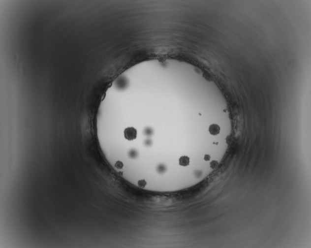 X0000094910272200712271518