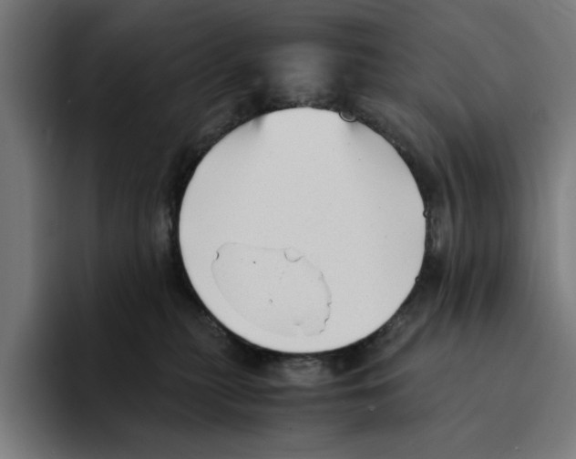 X0000094910279200712271519