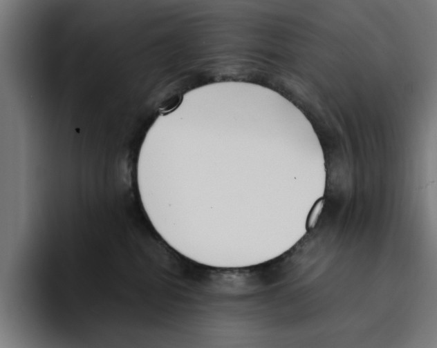 X0000094910282200712271519