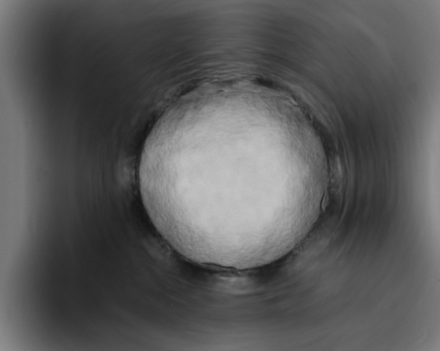 X0000094910284200712271519