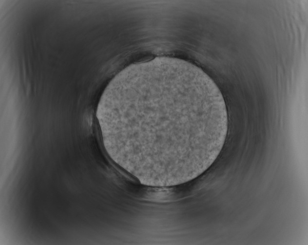 X0000094910288200712271519