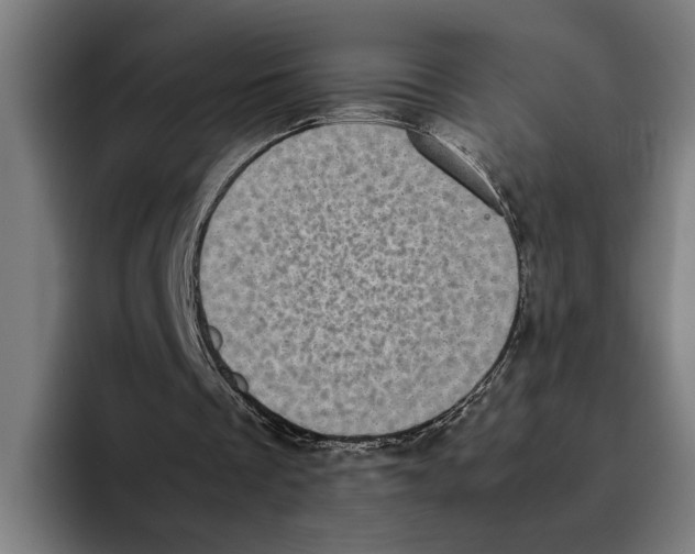 X0000094910289200712271518