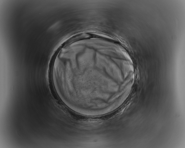 X0000094910292200712271518