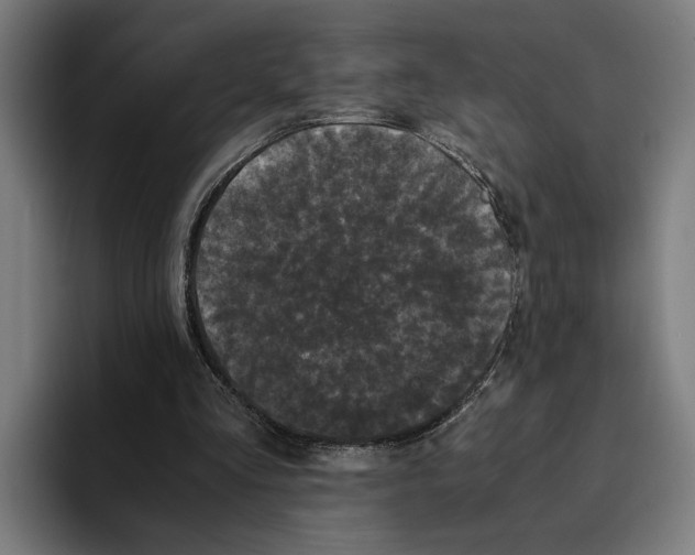 X0000094910293200712271518