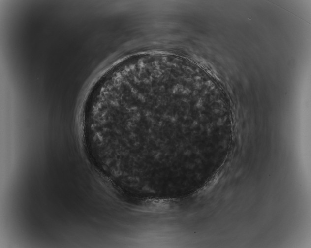 X0000094910295200712271518