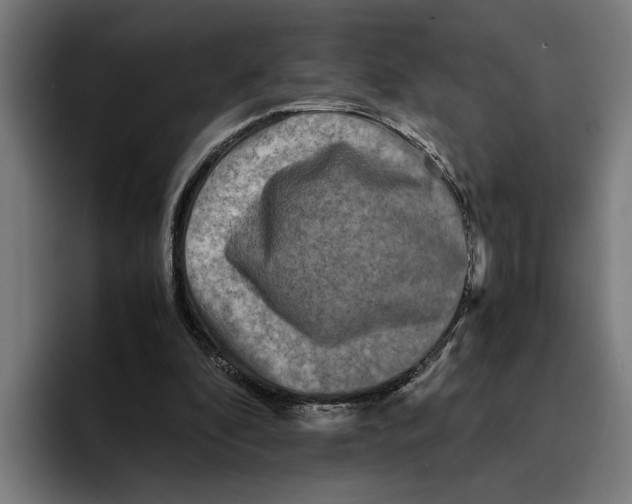 X0000094910296200712271518