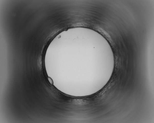 X0000094910298200712271518