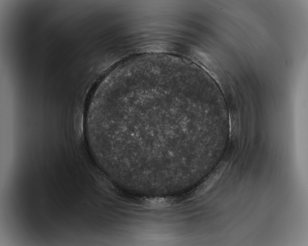 X0000094910301200712271518