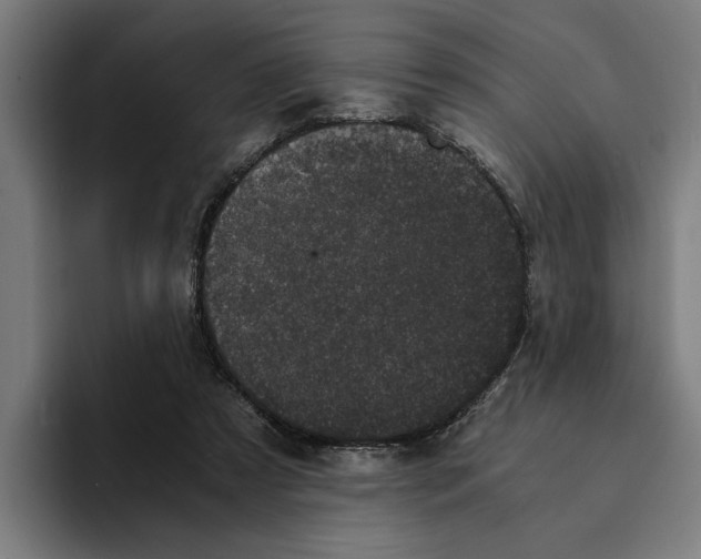 X0000094910305200712271518