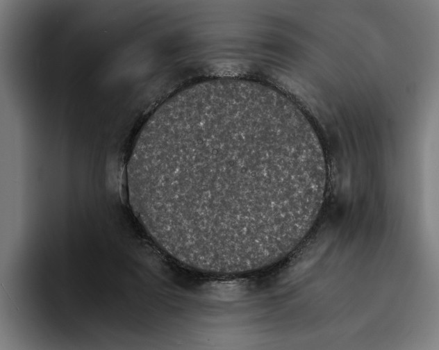 X0000094910307200712271518