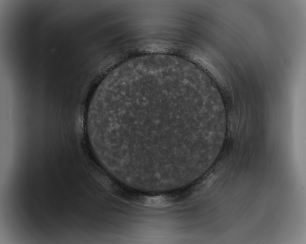 X0000094910309200712271518