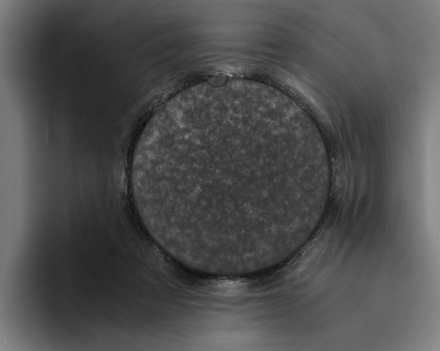 X0000094910313200712271518