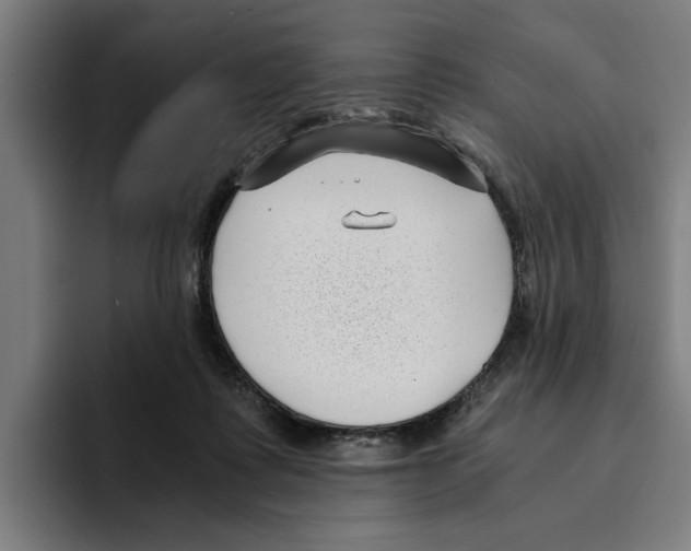 X0000094910315200712271518