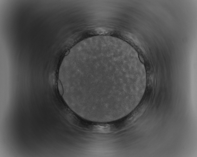 X0000094910317200712271518