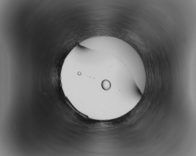 X0000094910320200712271518